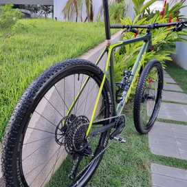 Cannondale FSi Carbon 3